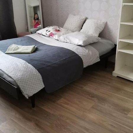 Stylovy Apartman V Centru Nachoda Luaran gambar