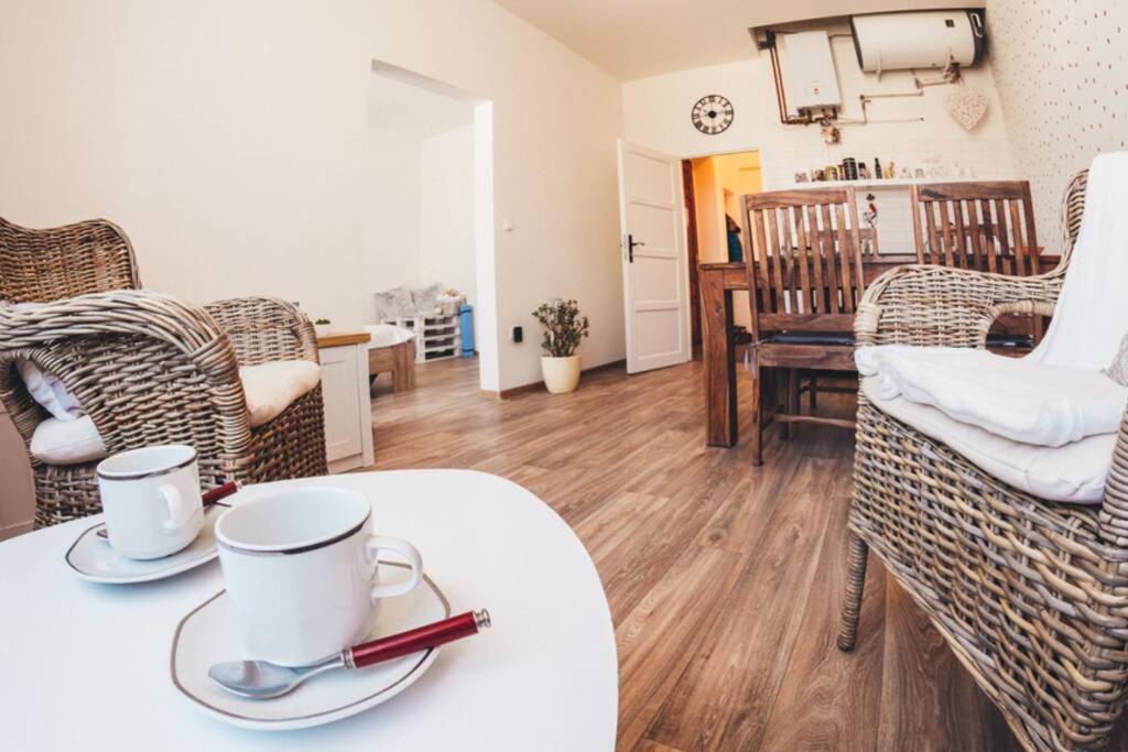 Stylovy Apartman V Centru Nachoda Luaran gambar